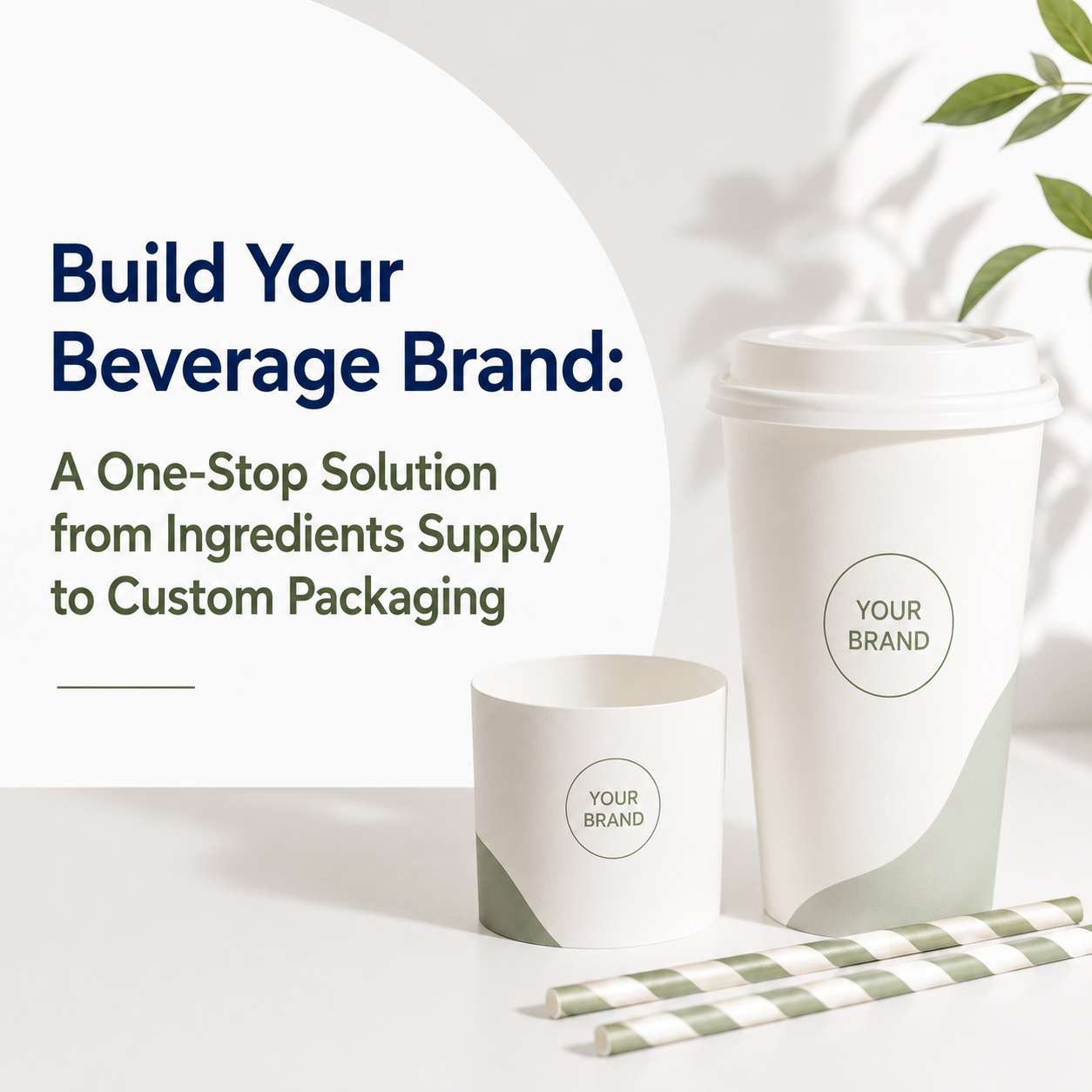 Beverage Ingredients Supplier & Custom Packaging Solutions