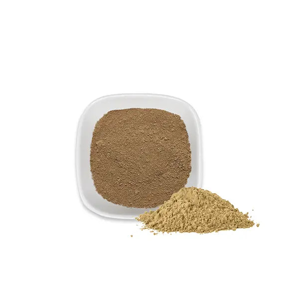 Japanese hojicha powder with warm brown hue and roasted tea aroma, ideal for lattes and desserts.